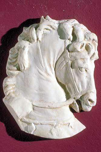 STUNNING GRECIAN HORSE HEADSCULPTURE STATUE